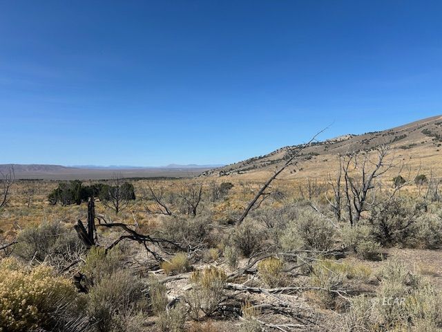 Winecup To Moor Road Property Photo 5