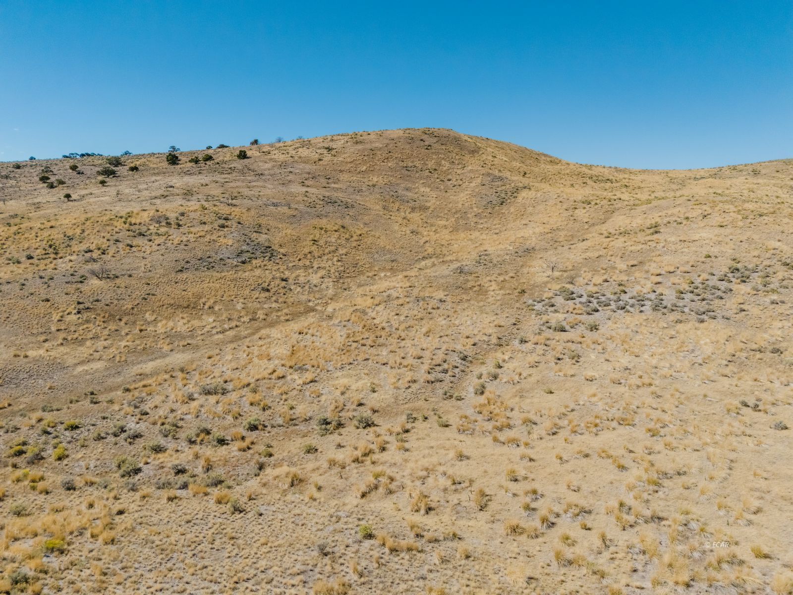 253 Wagon Trail Drive Property Photo 11