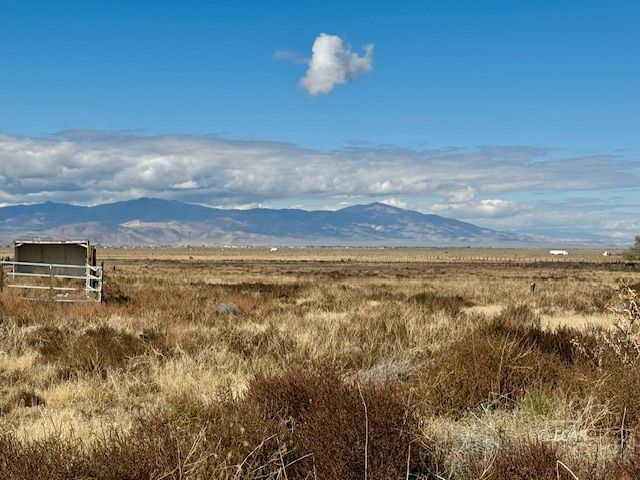 1010 Skyline Boulevard Property Photo 6