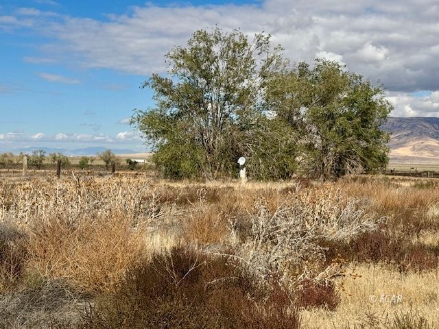 1010 Skyline Boulevard Property Photo 7