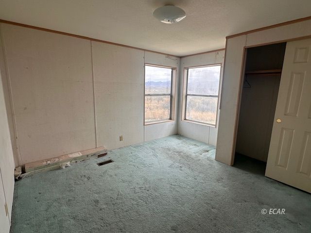 295 Saxon Drive Property Photo 15