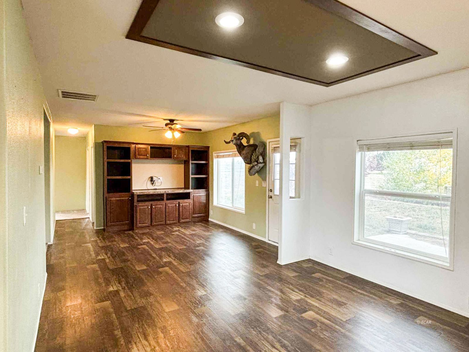 919 Bronco Drive Property Photo 9