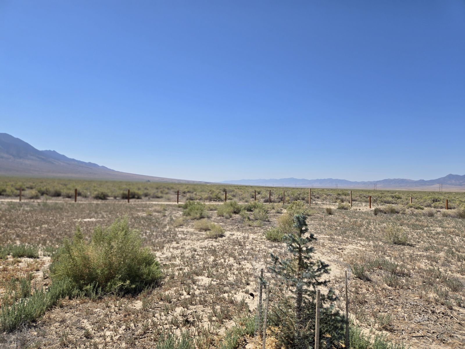 B St./11th St Property Photo 32