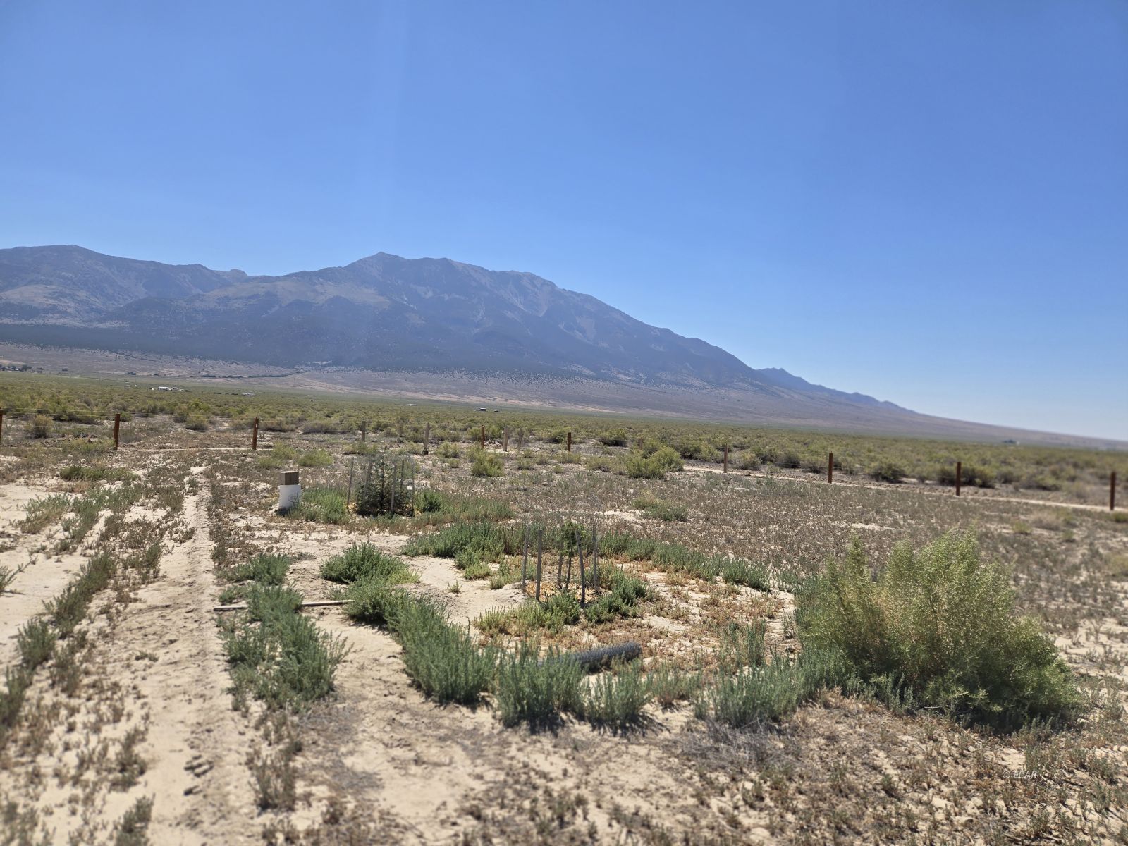 B St./11th St Property Photo 33