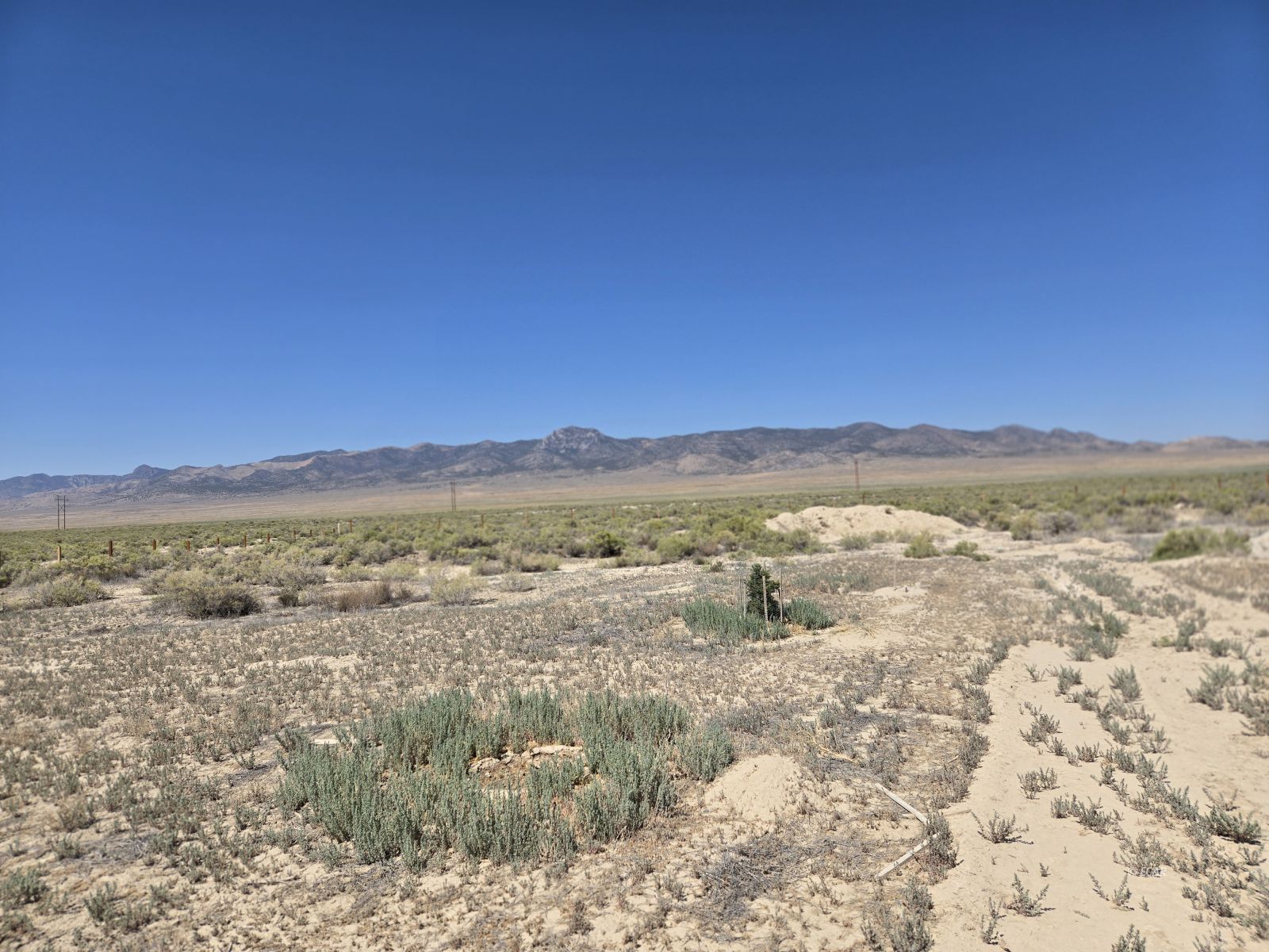 B St./11th St Property Photo 35