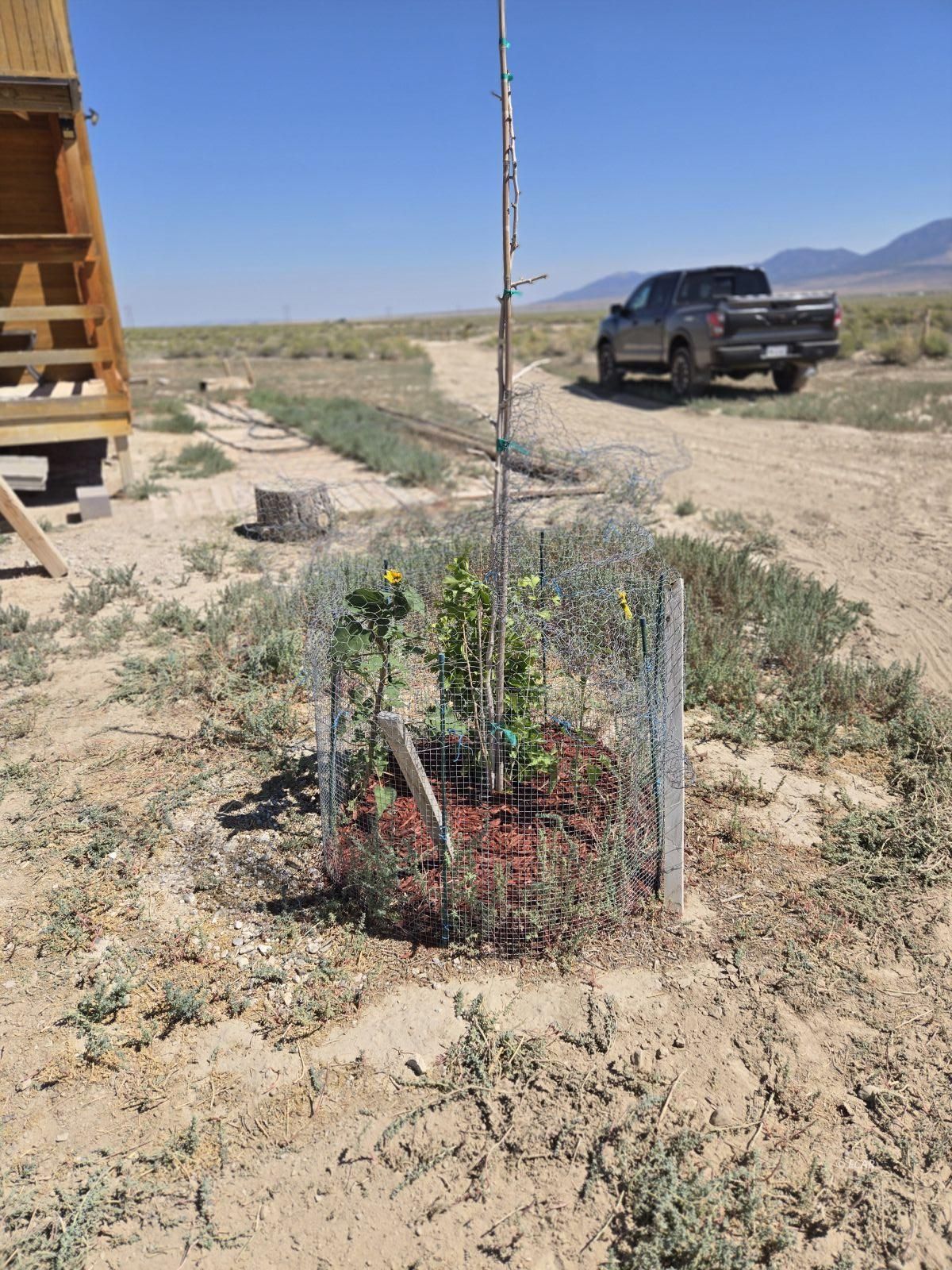 B St./11th St Property Photo 36