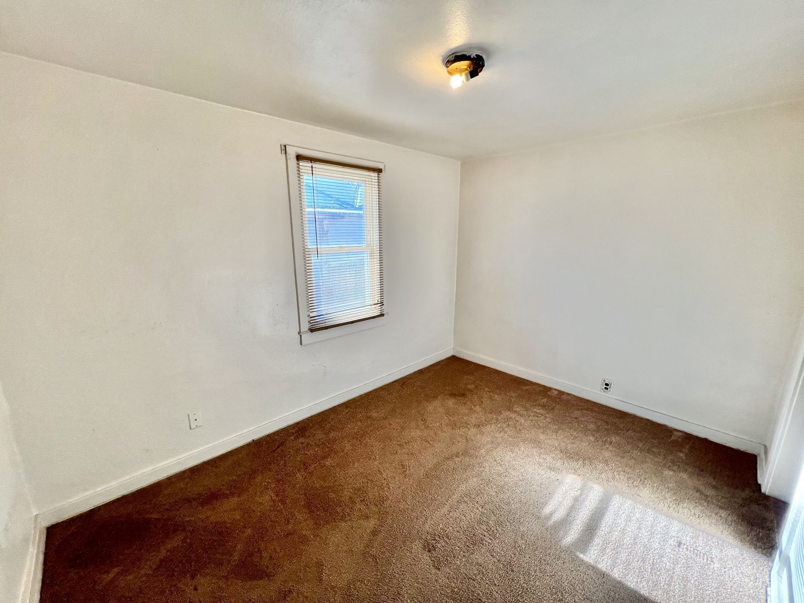 1291 3rd Street Property Photo 12