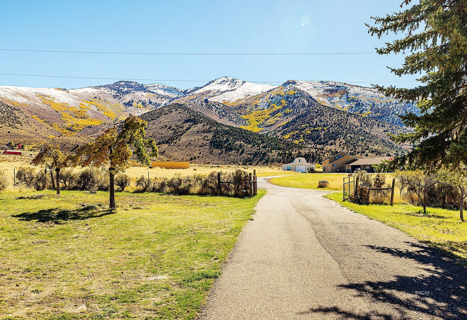 216 Dysart Circle Property Photo 4