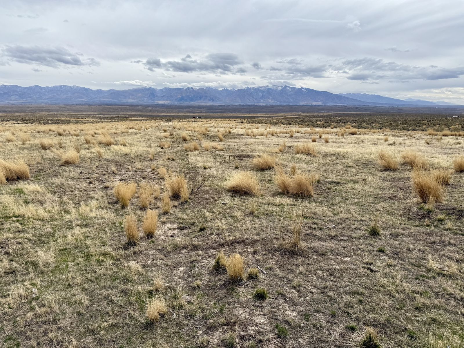 1 Acres Sapphire Property Photo 1