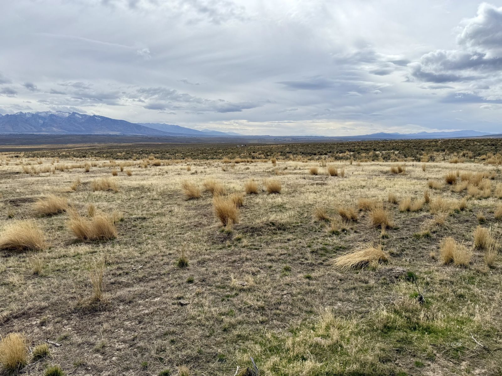 1 Acres Sapphire Property Photo 2