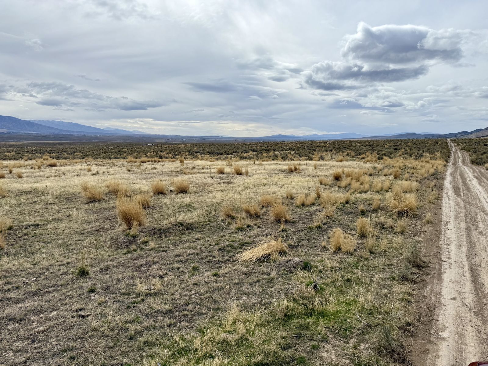 1 Acres Sapphire Property Photo 3