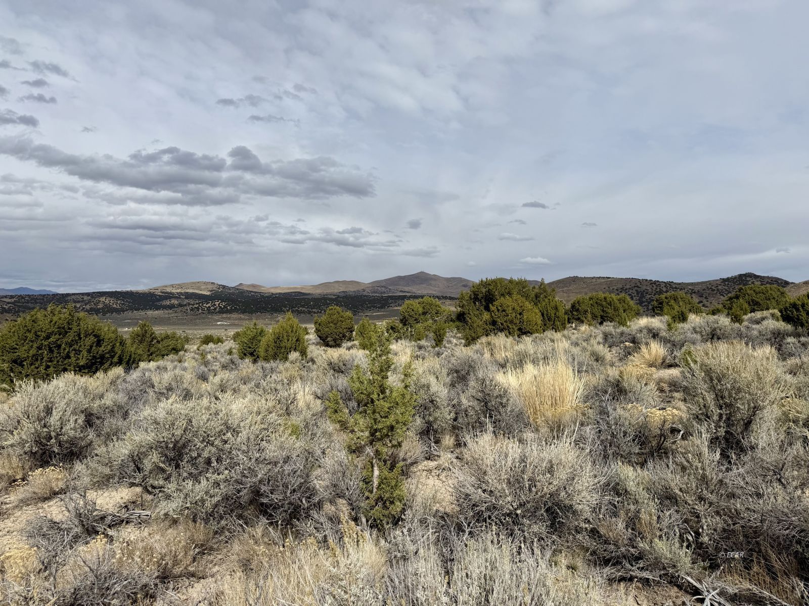 1 Acre Cortez Avenue Property Photo 2