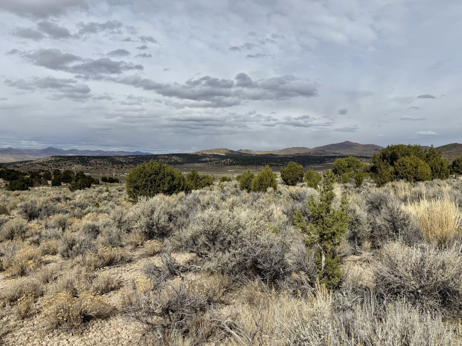 1 Acre Cortez Avenue Property Photo 3