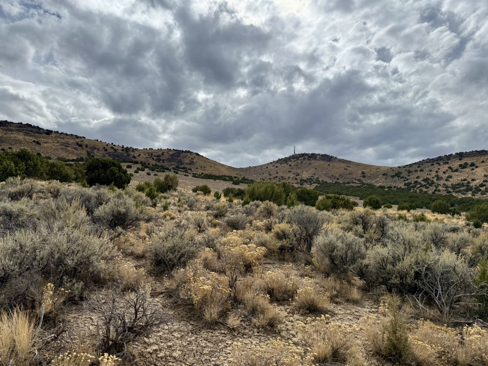 1 Acre Cortez Avenue Property Photo 4