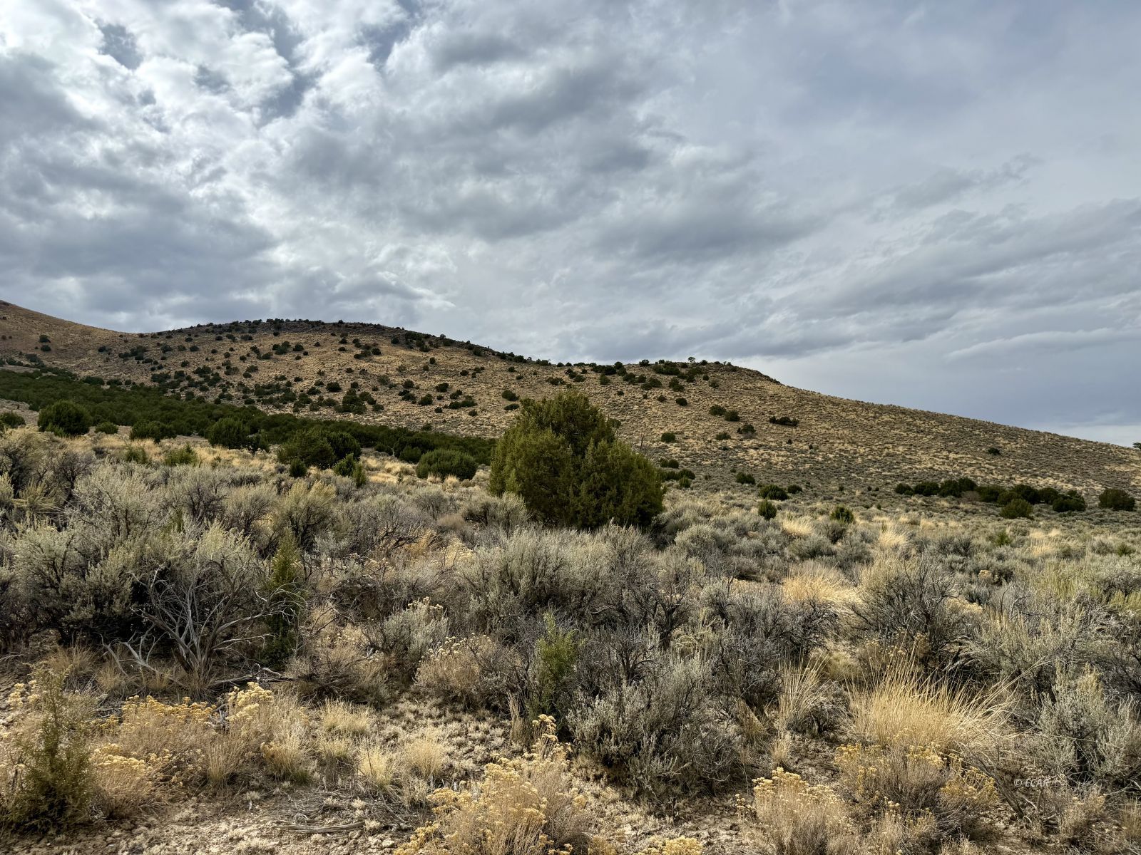 1 Acre Cortez Avenue Property Photo 5