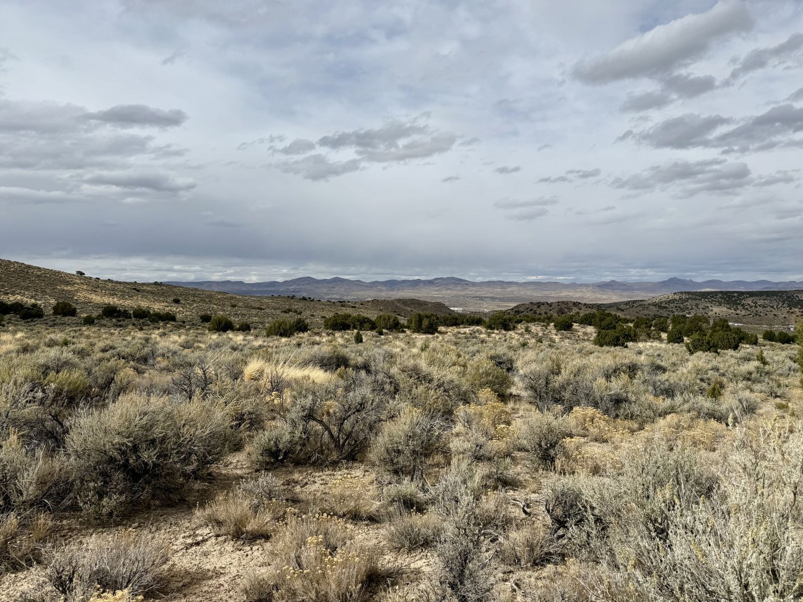 1 Acre Cortez Avenue Property Photo 6