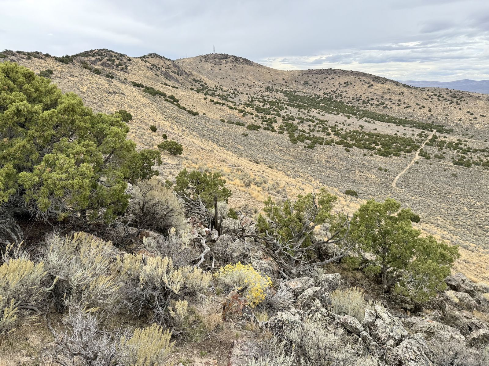 40 Acres Lovelock Street Property Photo 8