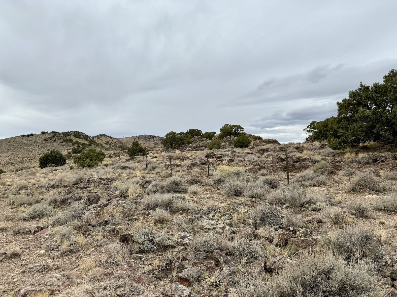 40 Acres Lovelock Street Property Photo 15