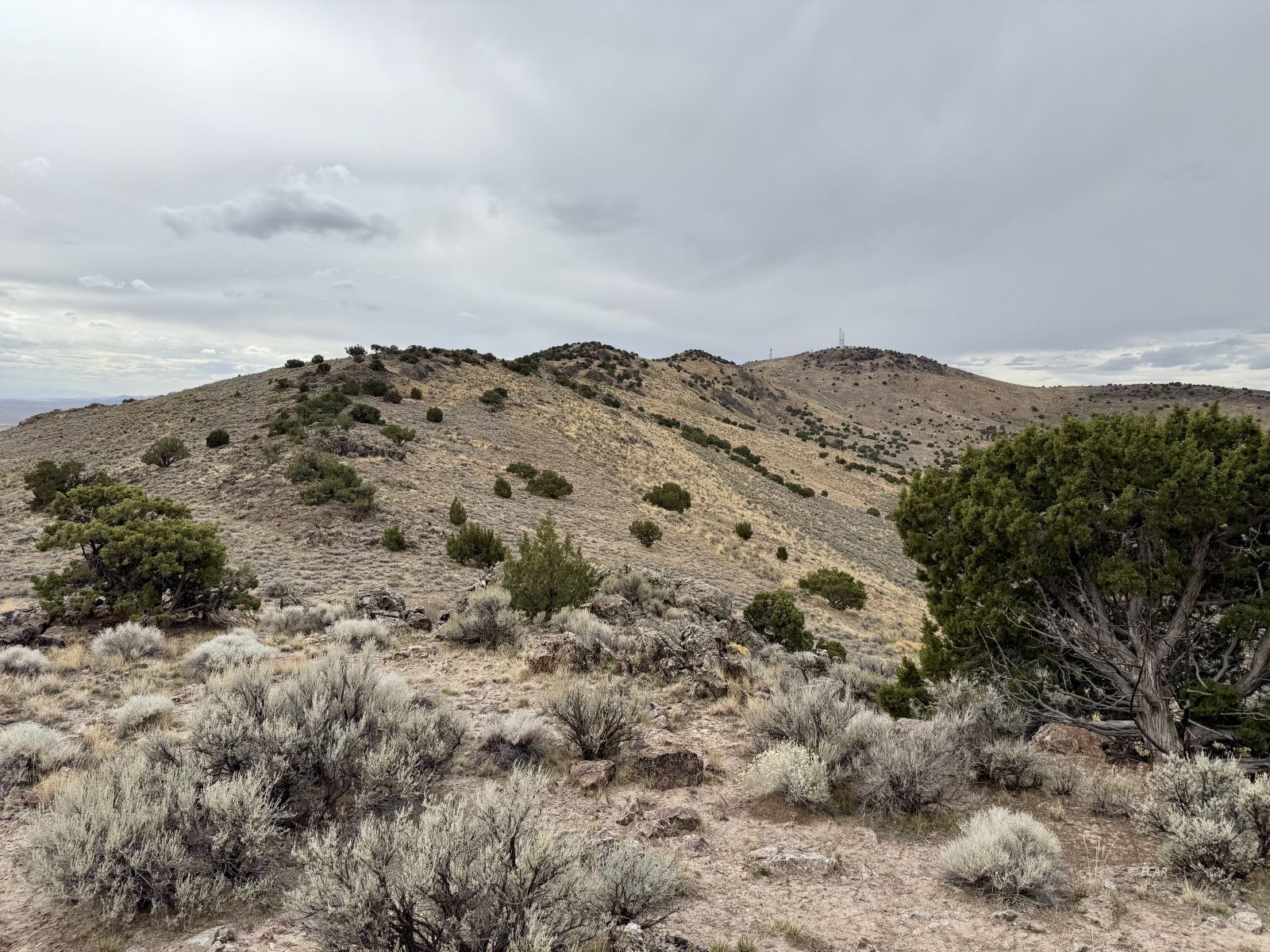 40 Acres Lovelock Street Property Photo 16