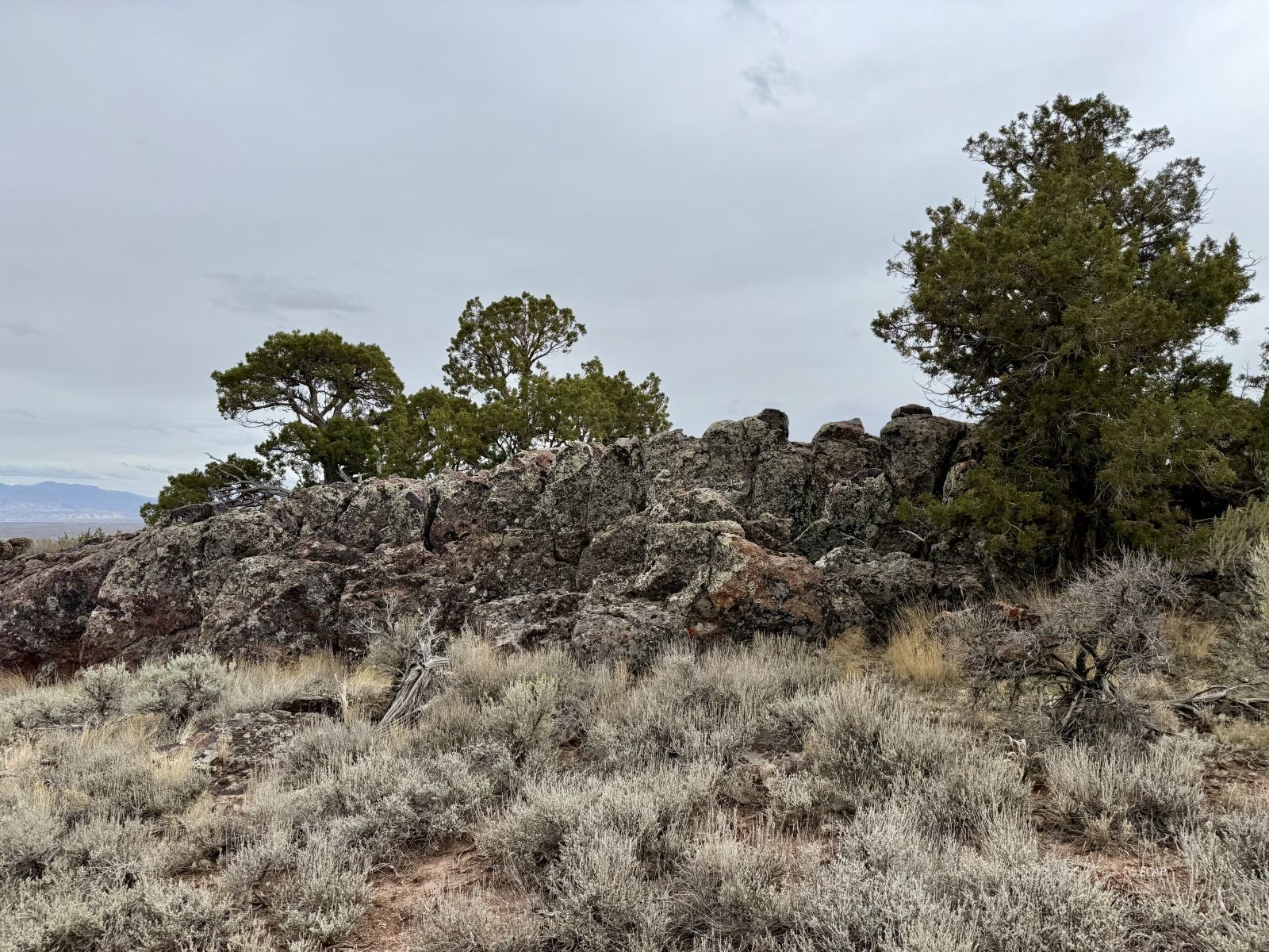 40 Acres Lovelock Street Property Photo 18