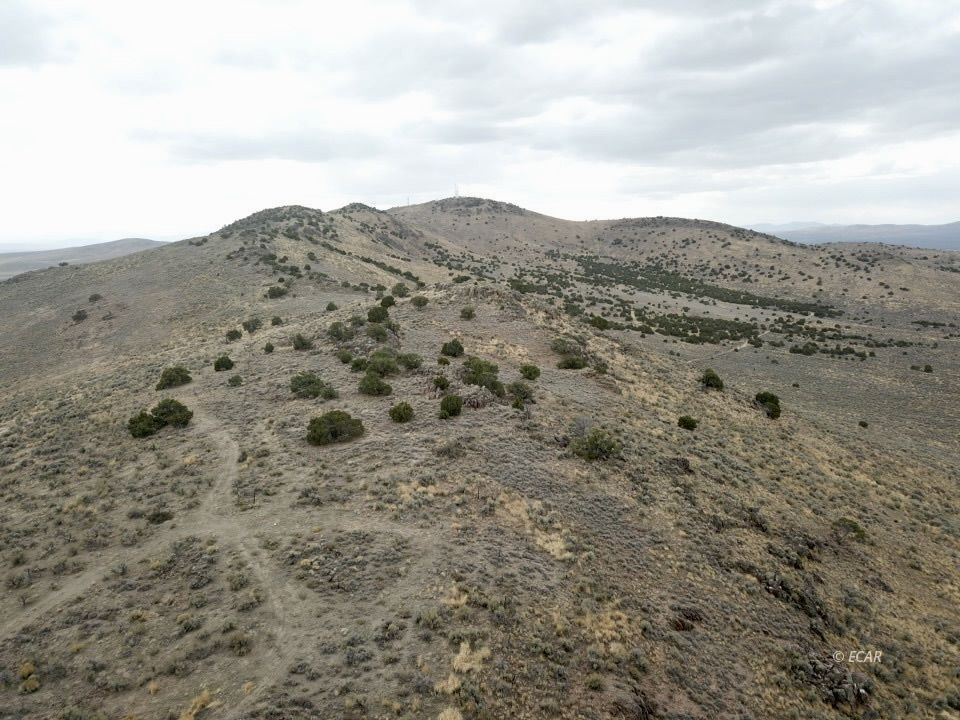 40 Acres Lovelock Street Property Photo 29