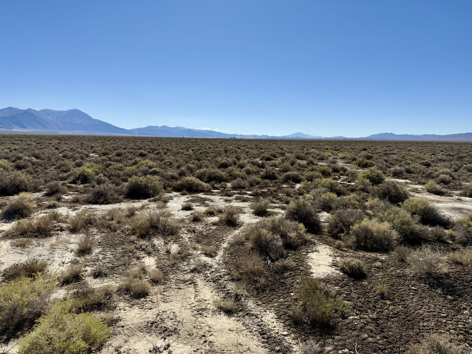 30 Acres Lipe Road Property Photo 2