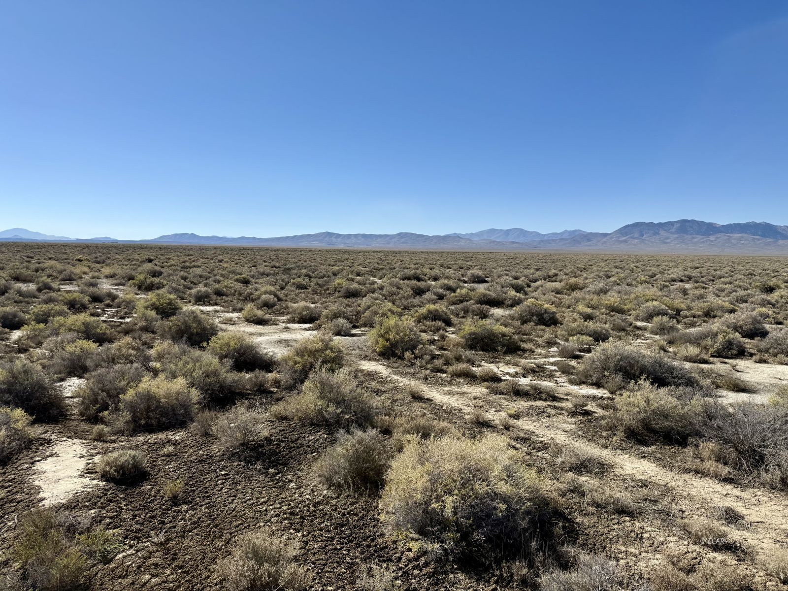 30 Acres Lipe Road Property Photo 3