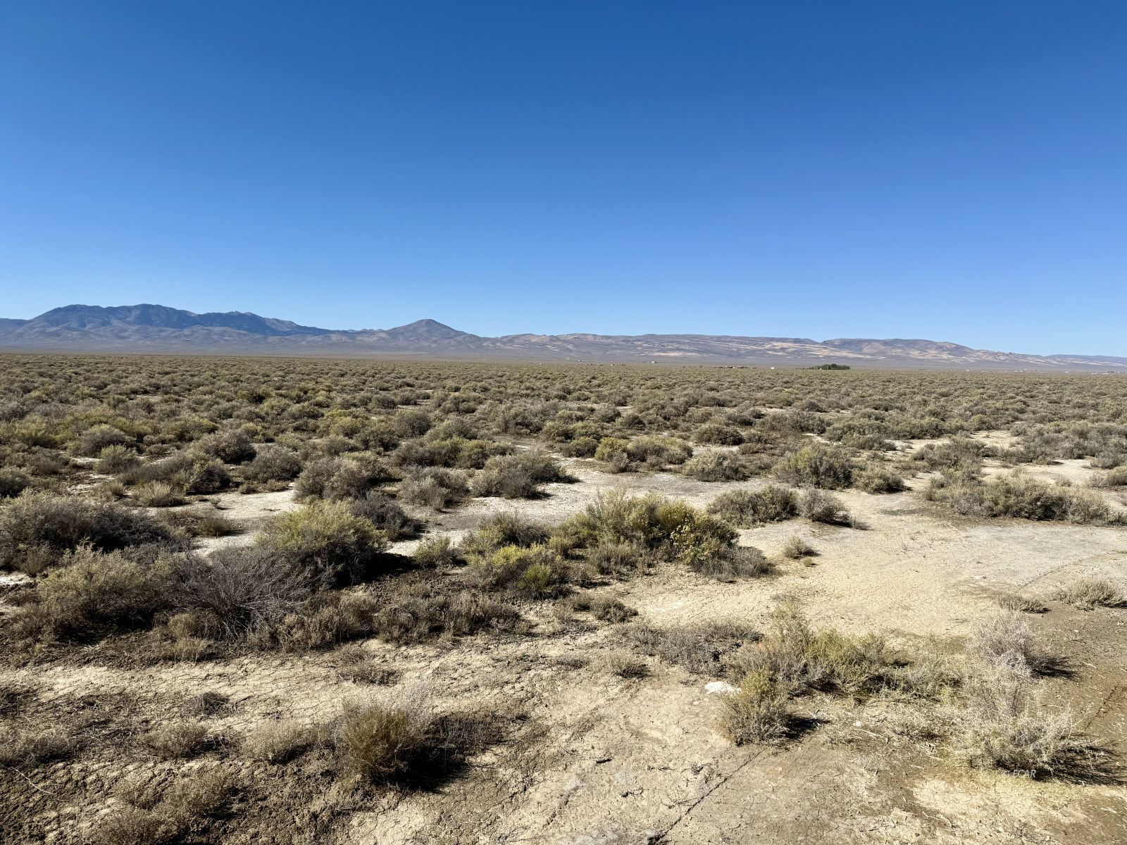 30 Acres Lipe Road Property Photo 4