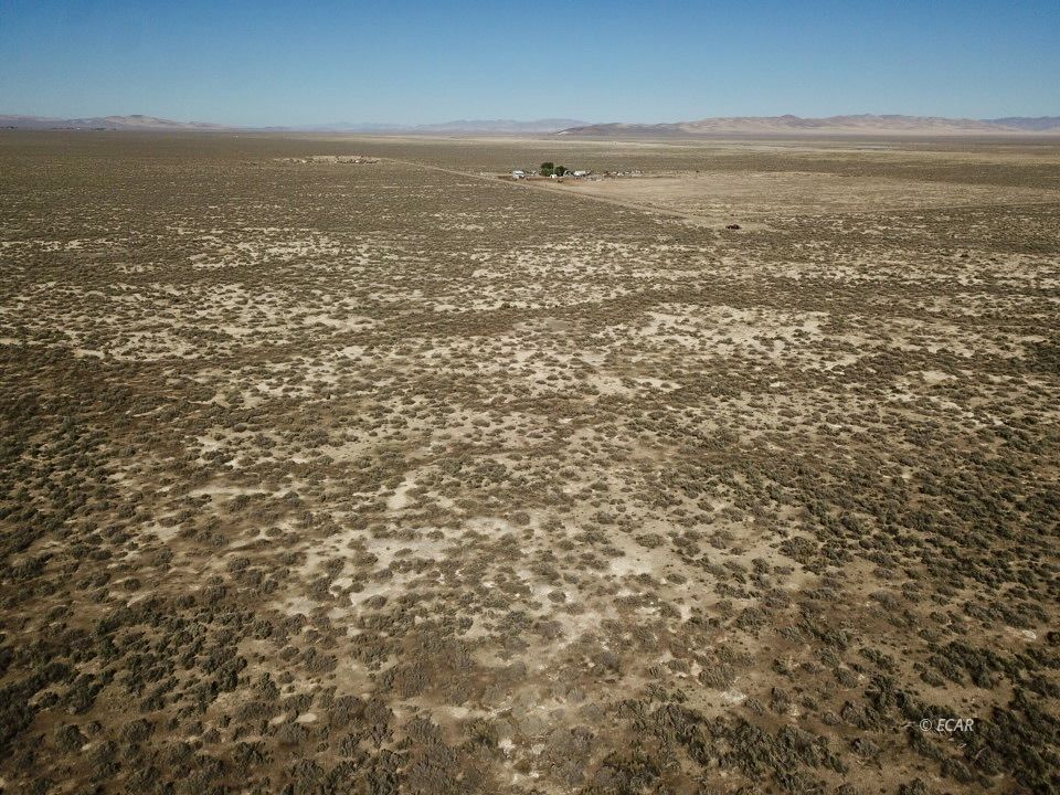 30 Acres Lipe Road Property Photo 5