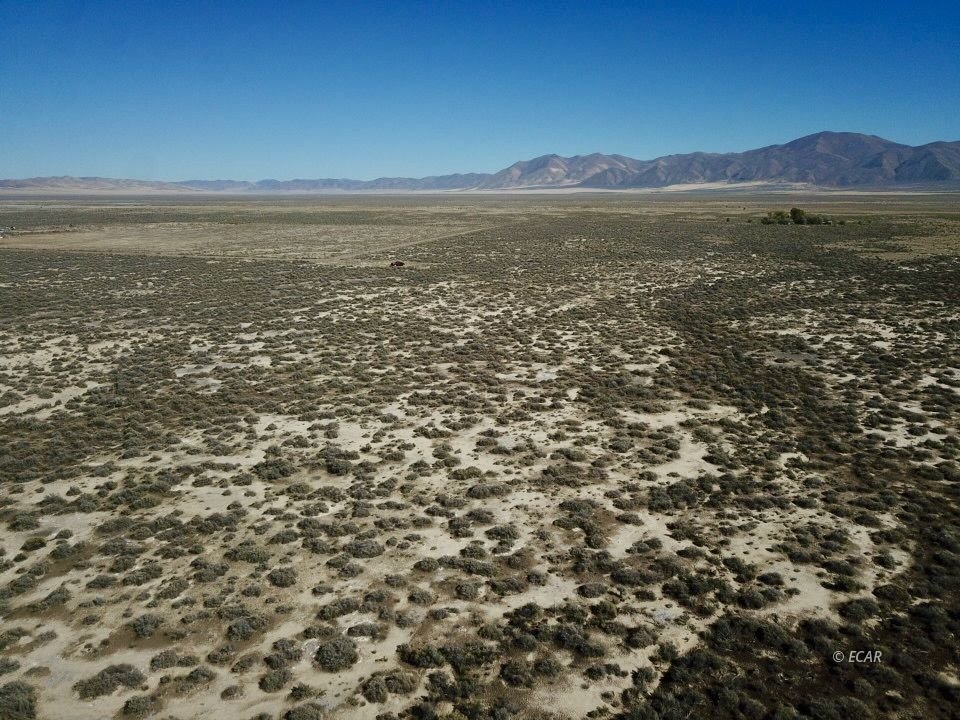 30 Acres Lipe Road Property Photo 6