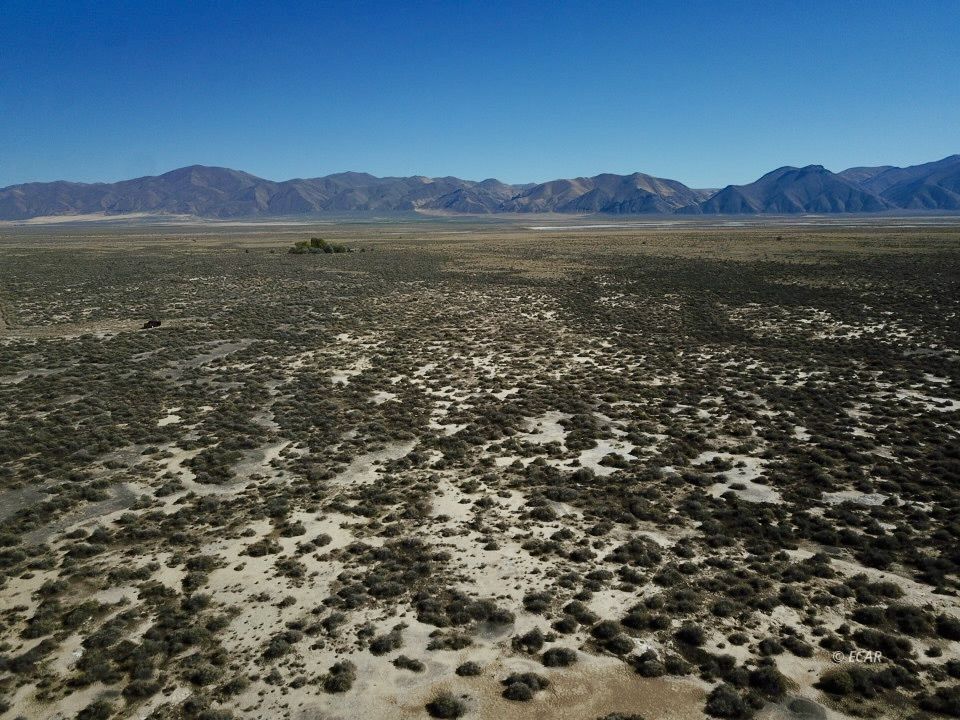 30 Acres Lipe Road Property Photo 7