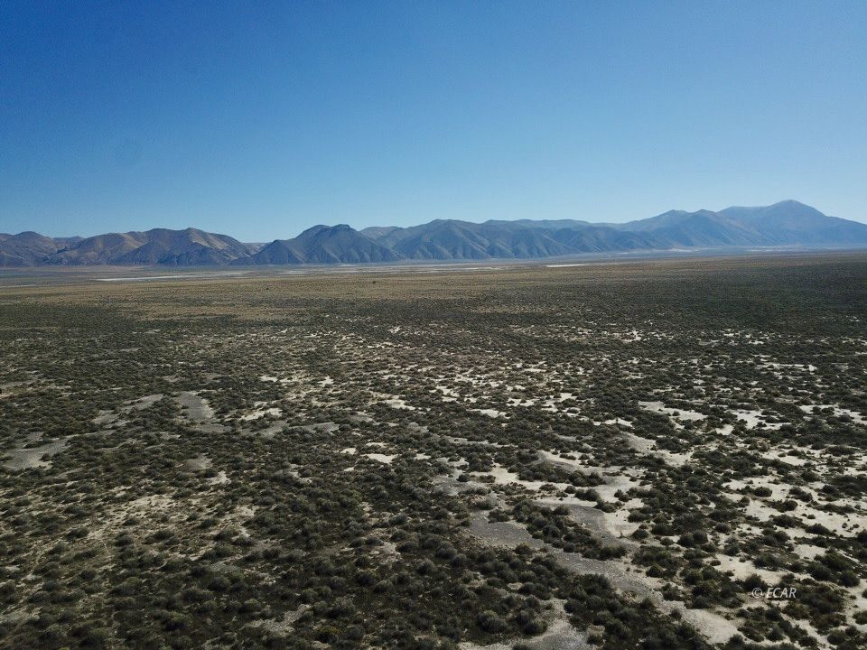 30 Acres Lipe Road Property Photo 8