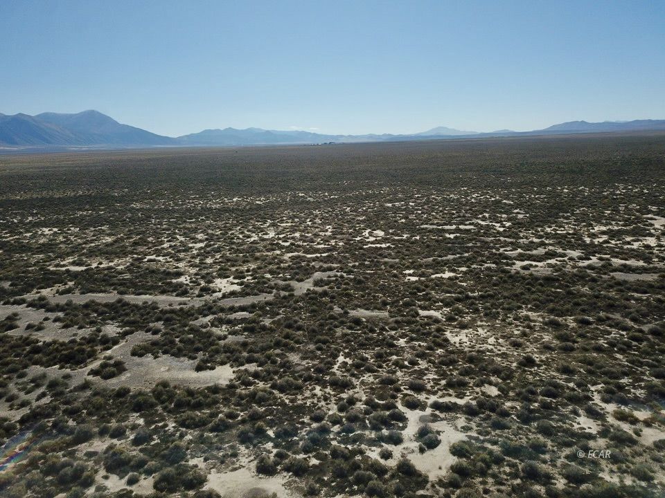 30 Acres Lipe Road Property Photo 9