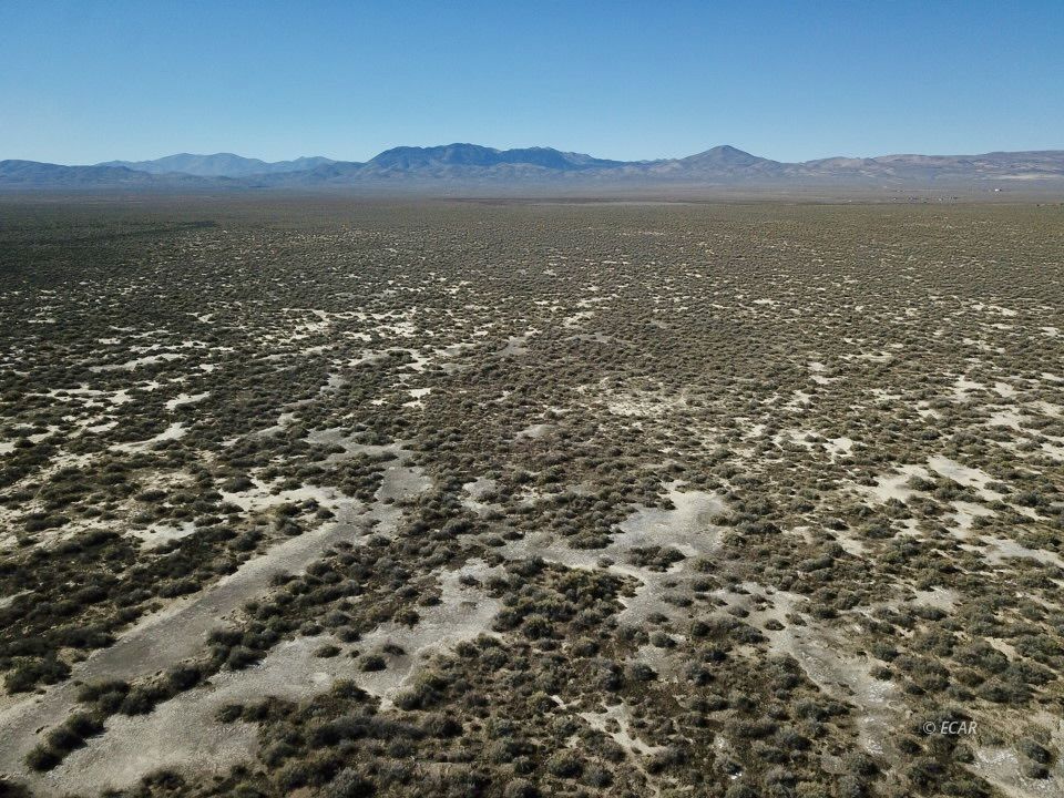 30 Acres Lipe Road Property Photo 10