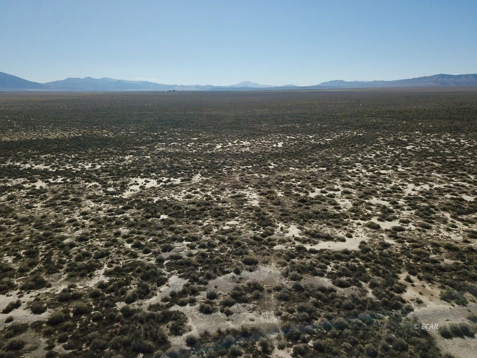 30 Acres Lipe Road Property Photo 12