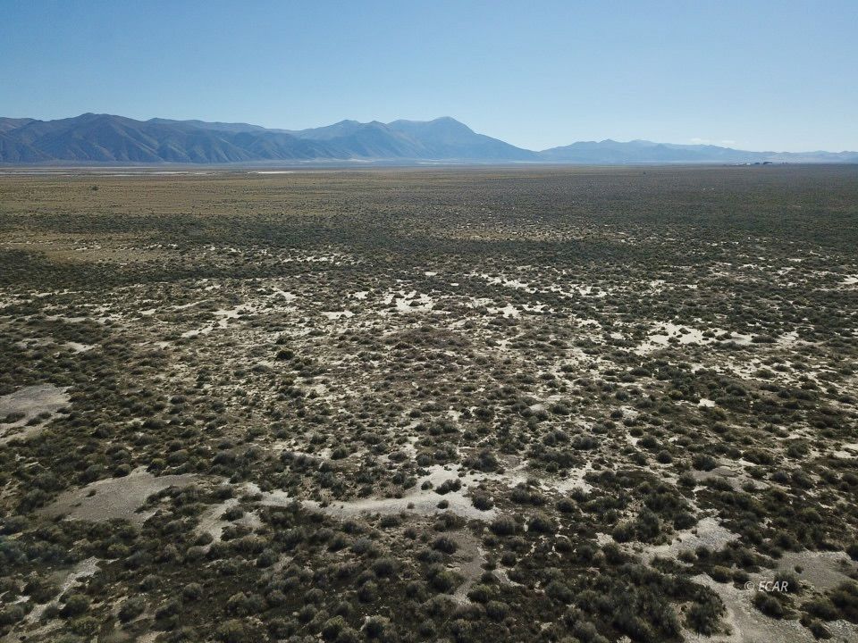 30 Acres Lipe Road Property Photo 13