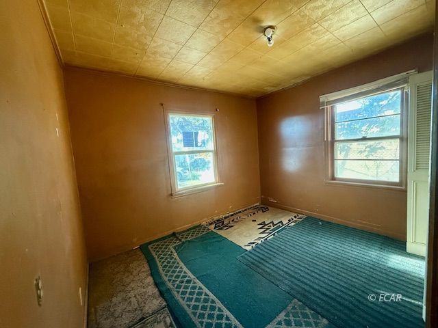 775 Cedar Street Property Photo 6