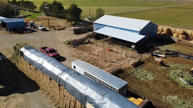 1725 Us 93 Highway Property Photo 5