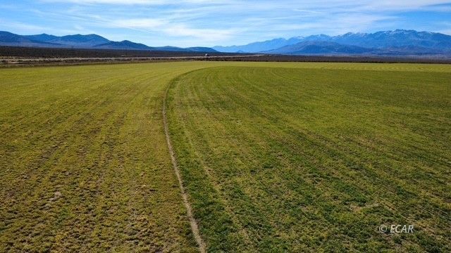 1725 Us 93 Highway Property Photo 6