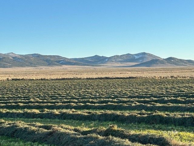 1725 Us 93 Highway Property Photo 7