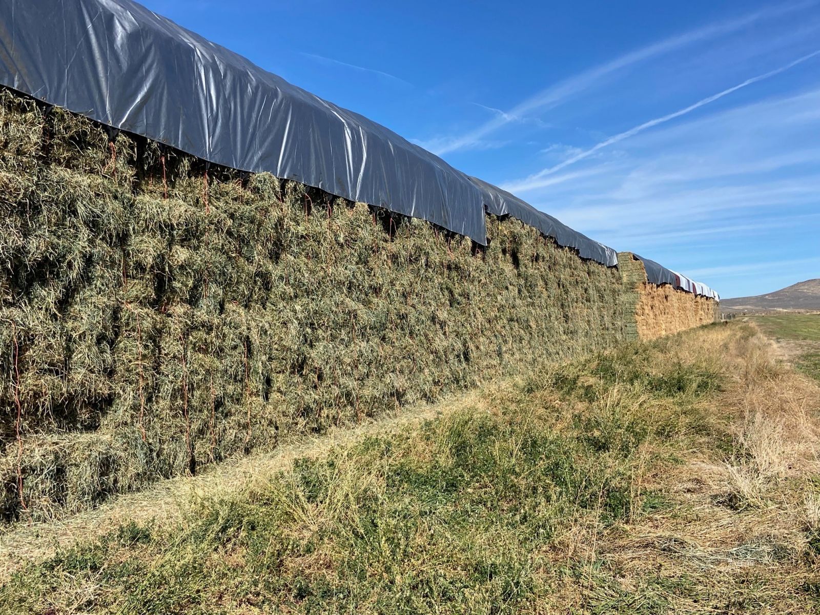 1725 Us 93 Highway Property Photo 8