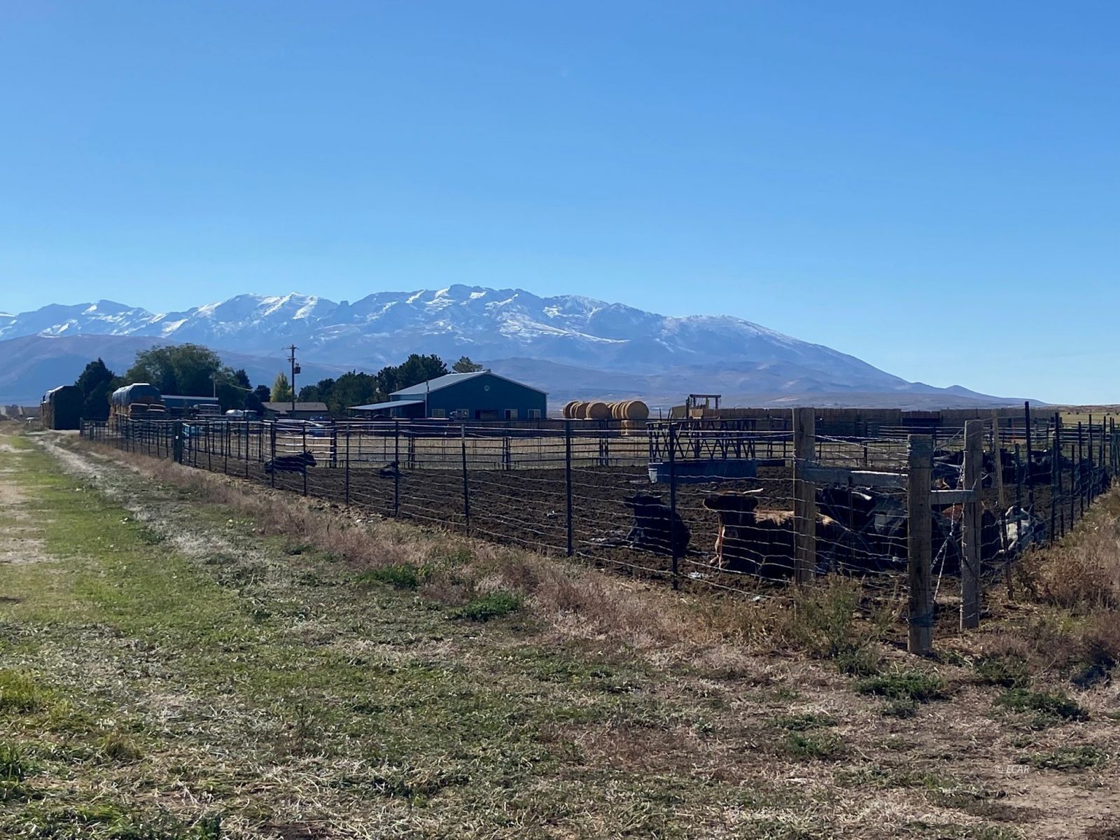 1725 Us 93 Highway Property Photo 15