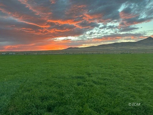 1725 Us 93 Highway Property Photo 20