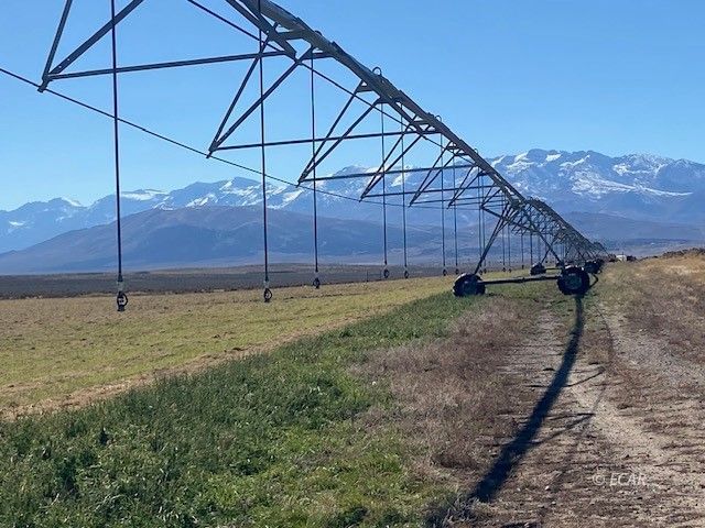 1725 Us 93 Highway Property Photo 21