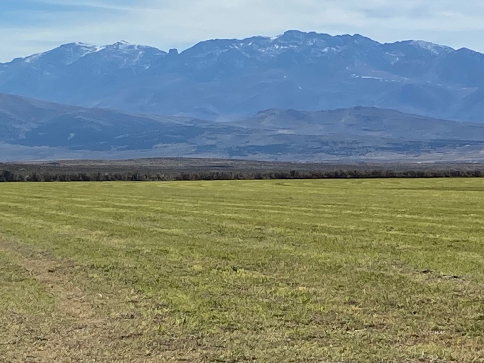 1725 Us 93 Highway Property Photo 23