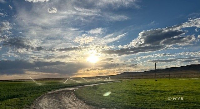 1725 Us 93 Highway Property Photo 47