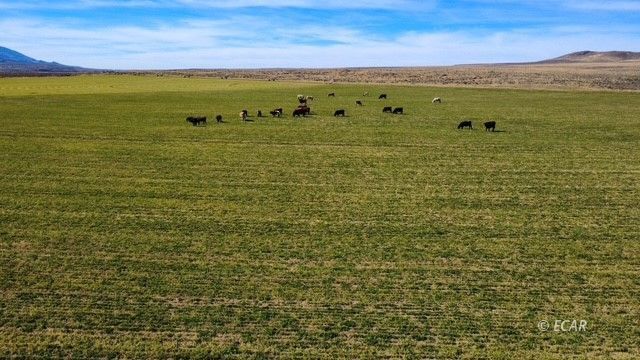 1725 Us 93 Highway Property Photo 48