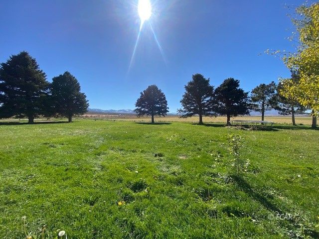 1725 Us 93 Highway Property Photo 49