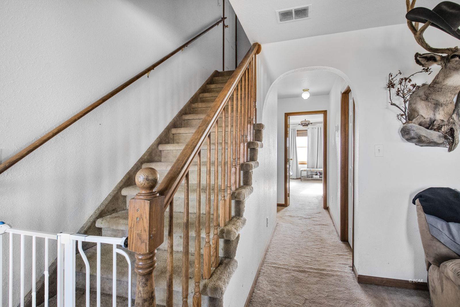 936 Buckskin Place Property Photo 5