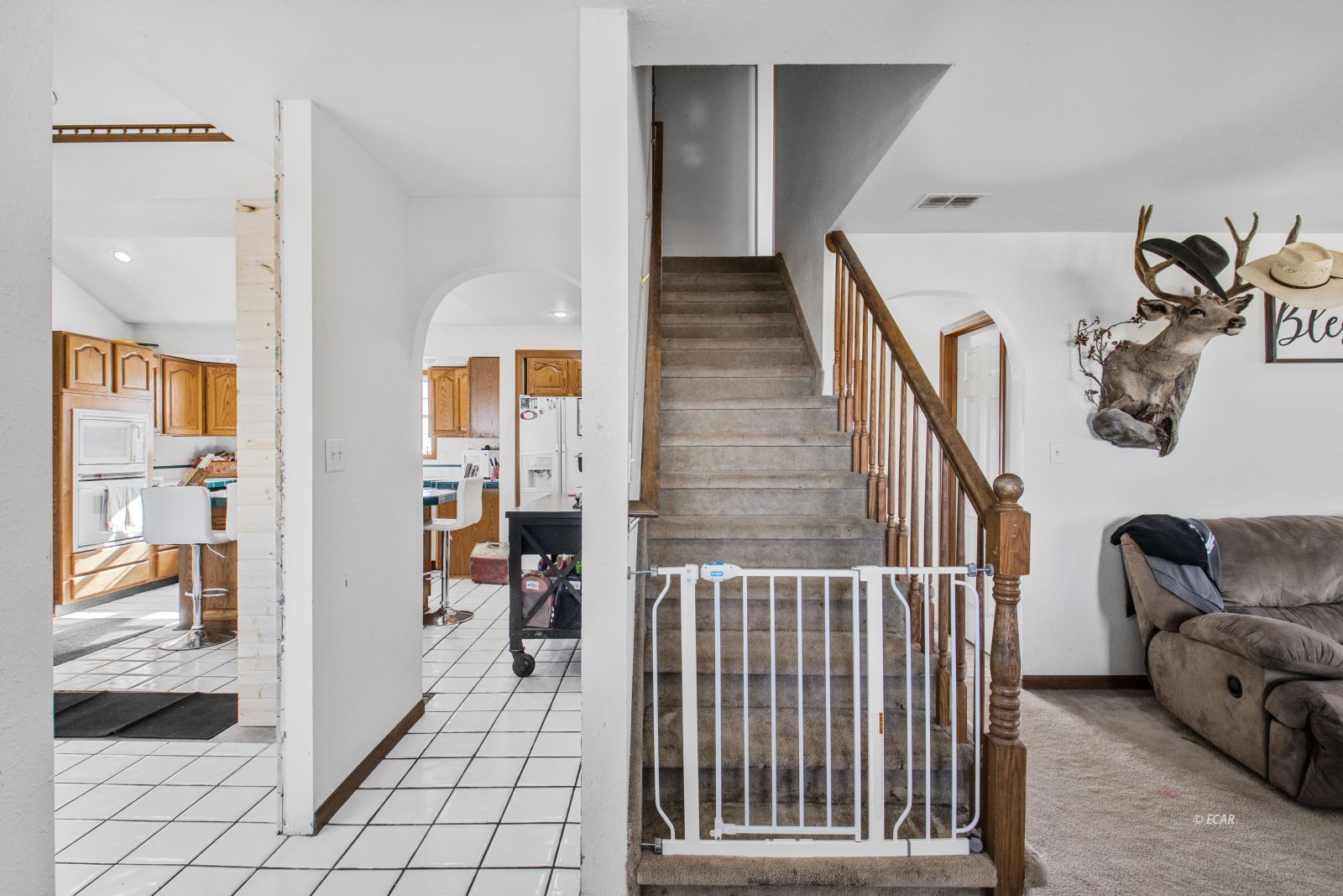 936 Buckskin Place Property Photo 6